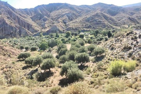 Helårsgrund i Ugijar, Granada, Ugijar - € 245.000 | Ref: EXP10544/8930 - foto 13