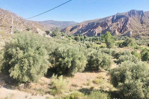 Helårsgrund i Ugijar, Granada, Ugijar - € 245.000 | Ref: EXP10544/8930 - foto 14