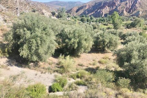 Helårsgrund i Ugijar, Granada, Ugijar - € 245.000 | Ref: EXP10544/8930 - foto 15