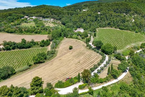 Villa i Sirolo, Ancona, Sirolo - € 3.700.000 | Ref: 550 - foto 46