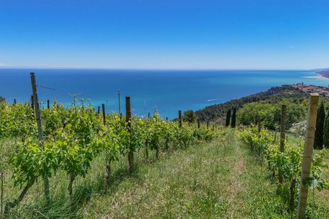 Villa i Sirolo, Ancona, Sirolo - € 3.700.000 | Ref: 550 - foto 47