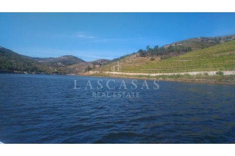 Farm i Candedo, Vila Real, Candedo - € 1.300.000 | Ref: #59-2025 - foto 2
