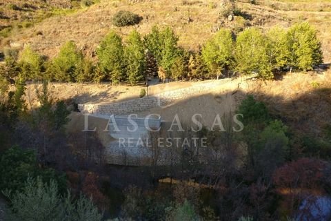 Farm i Candedo, Vila Real, Candedo - € 1.300.000 | Ref: #59-2025 - foto 1
