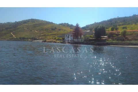 Farm i Candedo, Vila Real, Candedo - € 1.300.000 | Ref: #59-2025 - foto 6