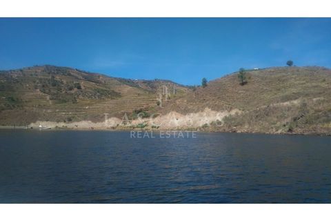 Farm i Candedo, Vila Real, Candedo - € 1.300.000 | Ref: #59-2025 - foto 7