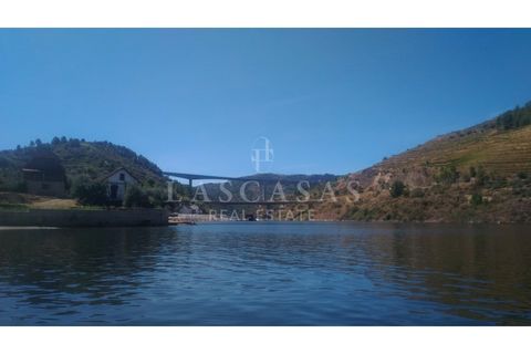 Farm i Candedo, Vila Real, Candedo - € 1.300.000 | Ref: #59-2025 - foto 8