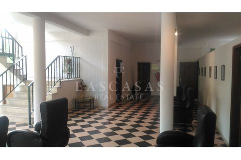 Farm i Candedo, Vila Real, Candedo - € 1.300.000 | Ref: #59-2025 - foto 12