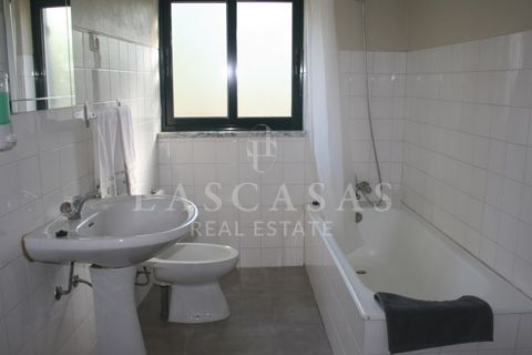 Farm i Candedo, Vila Real, Candedo - € 1.300.000 | Ref: #59-2025 - foto 14