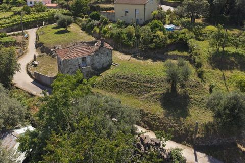 Villa i Ponte de Lima, Viana do Castelo, Ponte de Lima - € 125.000 | Ref: TC115 - foto 3