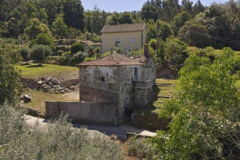 Villa i Ponte de Lima, Viana do Castelo, Ponte de Lima - € 125.000 | Ref: TC115 - foto 14