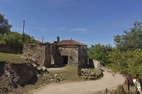 Villa i Ponte de Lima, Viana do Castelo, Ponte de Lima - € 125.000 | Ref: TC115 - foto 20