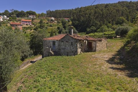 Villa i Ponte de Lima, Viana do Castelo, Ponte de Lima - € 125.000 | Ref: TC115 - foto 25