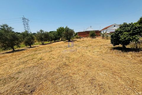 Helårsgrund i Azambuja, Lisbon, Azambuja - € 95.000 | Ref: CAL-216861 - foto 5