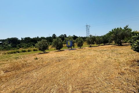 Helårsgrund i Azambuja, Lisbon, Azambuja - € 95.000 | Ref: CAL-216861 - foto 2