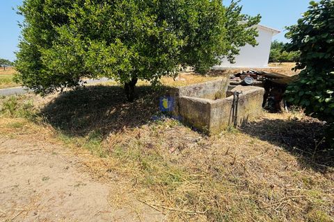Helårsgrund i Azambuja, Lisbon, Azambuja - € 95.000 | Ref: CAL-216861 - foto 6