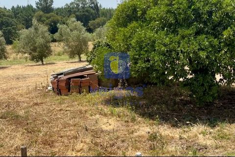 Helårsgrund i Azambuja, Lisbon, Azambuja - € 95.000 | Ref: CAL-216861 - foto 7