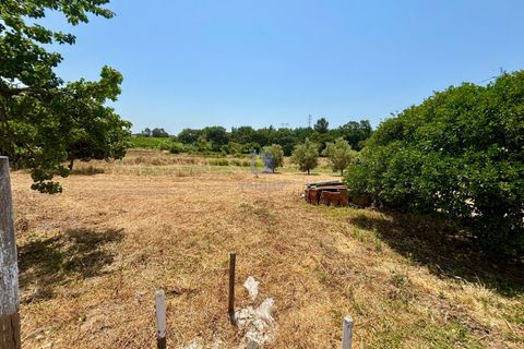 Helårsgrund i Azambuja, Lisbon, Azambuja - € 95.000 | Ref: CAL-216861 - foto 8