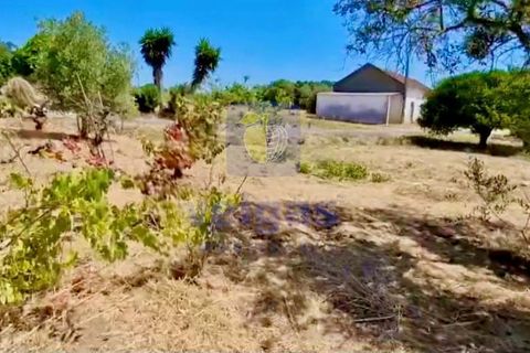 Helårsgrund i Azambuja, Lisbon, Azambuja - € 95.000 | Ref: CAL-216861 - foto 13