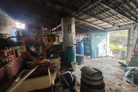 Villa a Ourique, Beja, Ourique - € 195.000 | Ref: 4444 - foto 18