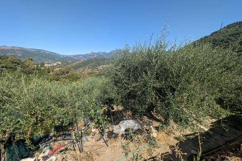 Terra a Saint-Blaise, Alpes-Maritimes, Saint-Blaise - € 215.000 | Ref: 1141 - foto 5