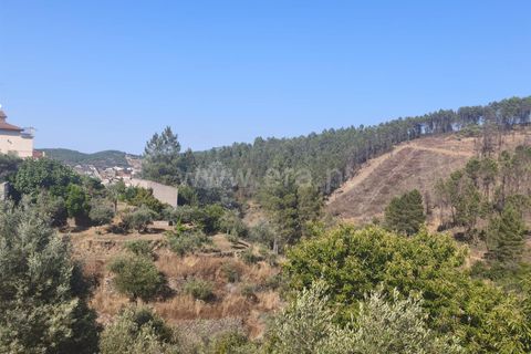 Helårsgrund i Fundao, Castelo Branco, Fundao - € 22.500 | Ref: 255250127 - foto 1
