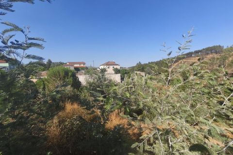 Helårsgrund i Fundao, Castelo Branco, Fundao - € 22.500 | Ref: 255250127 - foto 2