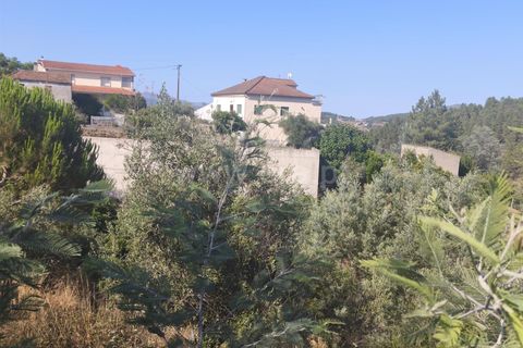 Helårsgrund i Fundao, Castelo Branco, Fundao - € 22.500 | Ref: 255250127 - foto 3