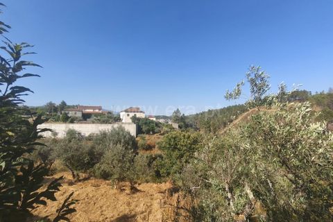 Helårsgrund i Fundao, Castelo Branco, Fundao - € 22.500 | Ref: 255250127 - foto 4