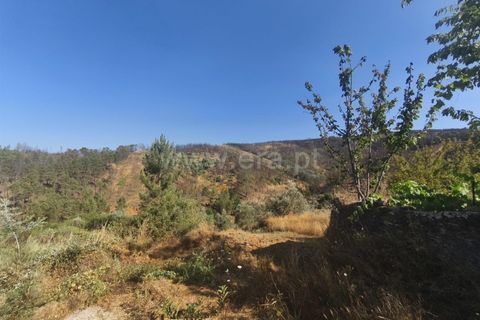 Helårsgrund i Fundao, Castelo Branco, Fundao - € 22.500 | Ref: 255250127 - foto 5