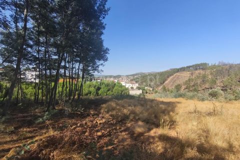 Helårsgrund i Fundao, Castelo Branco, Fundao - € 22.500 | Ref: 255250127 - foto 6