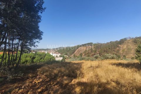 Helårsgrund i Fundao, Castelo Branco, Fundao - € 22.500 | Ref: 255250127 - foto 7