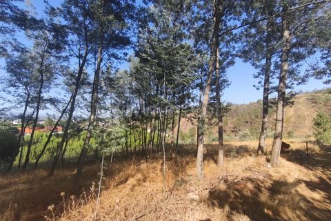 Helårsgrund i Fundao, Castelo Branco, Fundao - € 22.500 | Ref: 255250127 - foto 8
