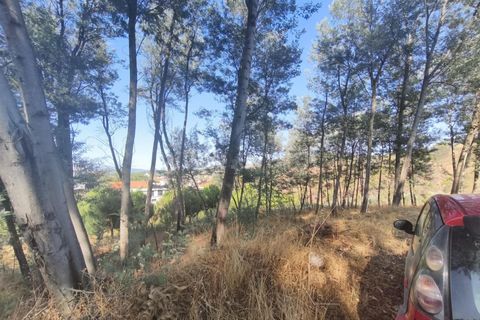 Helårsgrund i Fundao, Castelo Branco, Fundao - € 22.500 | Ref: 255250127 - foto 9