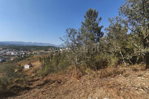 Helårsgrund i Fundao, Castelo Branco, Fundao - € 37.500 | Ref: 255250128 - foto 2
