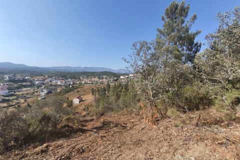 Helårsgrund i Fundao, Castelo Branco, Fundao - € 37.500 | Ref: 255250128 - foto 3