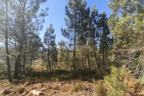 Helårsgrund i Fundao, Castelo Branco, Fundao - € 37.500 | Ref: 255250128 - foto 4