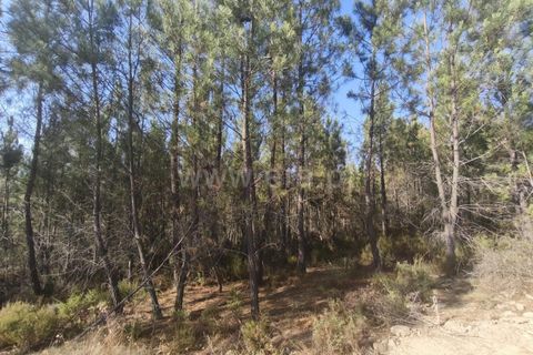 Helårsgrund i Fundao, Castelo Branco, Fundao - € 37.500 | Ref: 255250128 - foto 5