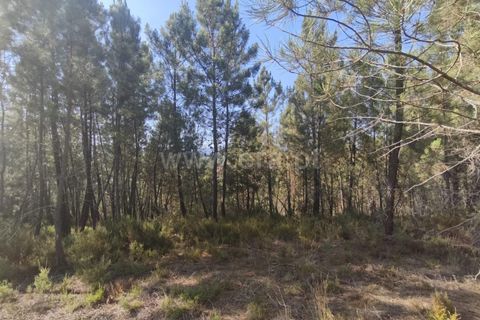 Helårsgrund i Fundao, Castelo Branco, Fundao - € 37.500 | Ref: 255250128 - foto 7