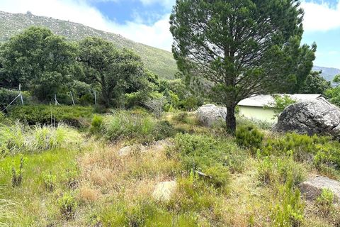 Helårsgrund i Tarifa, Cadiz, Tarifa - € 375.000 | Ref: CA-TA-280624/7965 - foto 4
