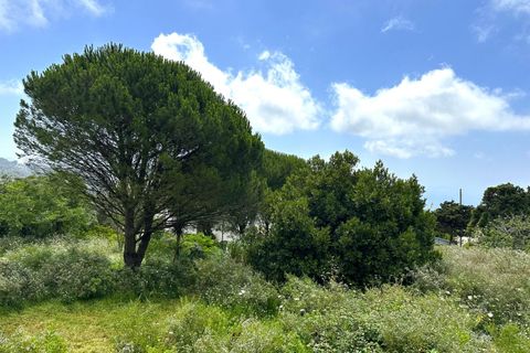 Helårsgrund i Tarifa, Cadiz, Tarifa - € 375.000 | Ref: CA-TA-280624/7965 - foto 6