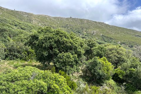 Helårsgrund i Tarifa, Cadiz, Tarifa - € 375.000 | Ref: CA-TA-280624/7965 - foto 9
