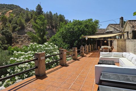 Landejendom i Montefrio, Granada, Montefrio - € 600.000 | Ref: Lorca - foto 36