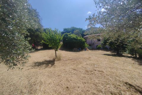 Terra a Maenza, Latina, Maenza - € 39.000 | Ref: 2087 - foto 2