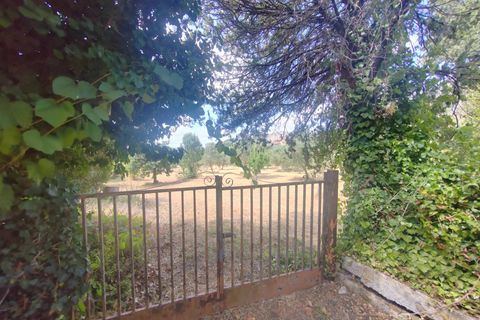 Terra a Maenza, Latina, Maenza - € 39.000 | Ref: 2087 - foto 3