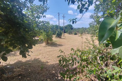 Terra a Maenza, Latina, Maenza - € 39.000 | Ref: 2087 - foto 4