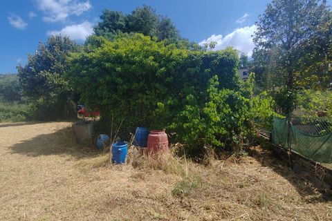 Terra a Maenza, Latina, Maenza - € 39.000 | Ref: 2087 - foto 5