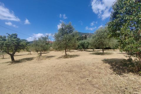 Terra a Maenza, Latina, Maenza - € 39.000 | Ref: 2087 - foto 6