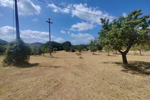 Terra a Maenza, Latina, Maenza - € 39.000 | Ref: 2087 - foto 7