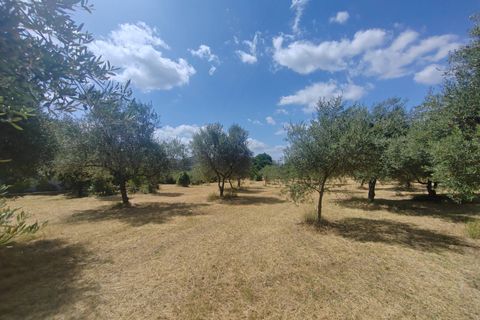 Terra a Maenza, Latina, Maenza - € 39.000 | Ref: 2087 - foto 8