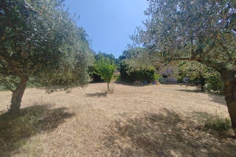 Terra a Maenza, Latina, Maenza - € 39.000 | Ref: 2087 - foto 9